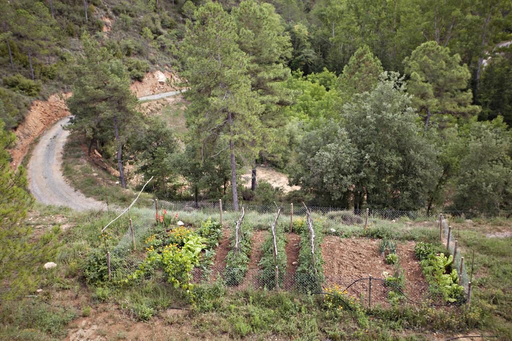Masia Ca L'Anima Hotel La Baronia de Rialb Pokój zdjęcie