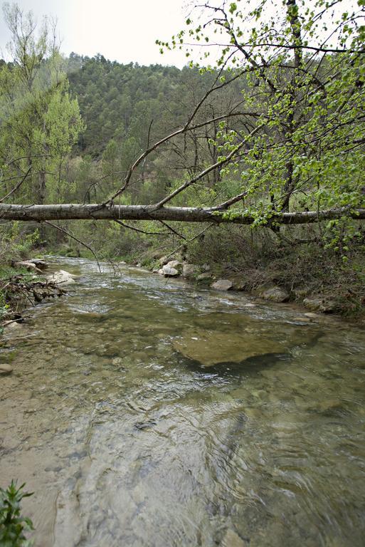 Masia Ca L'Anima Hotel La Baronia de Rialb Pokój zdjęcie
