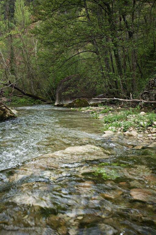 Masia Ca L'Anima Hotel La Baronia de Rialb Pokój zdjęcie