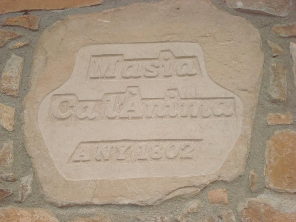 Masia Ca L'Anima Hotel La Baronia de Rialb Pokój zdjęcie